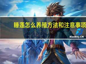 睡莲怎么养殖方法和注意事项