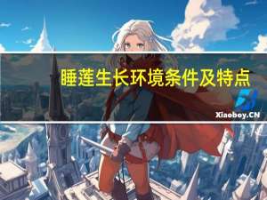 睡莲生长环境条件及特点
