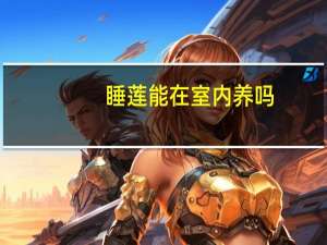 睡莲能在室内养吗