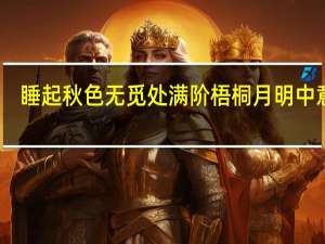 睡起秋色无觅处满阶梧桐月明中意思
