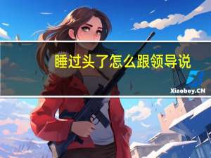 睡过头了怎么跟领导说