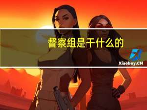 督察组是干什么的