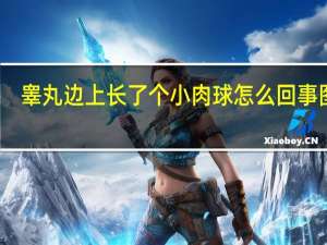 睾丸边上长了个小肉球怎么回事图片（睾丸边上长了个小肉球怎么回事）