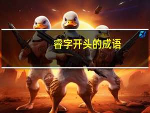 睿字开头的成语