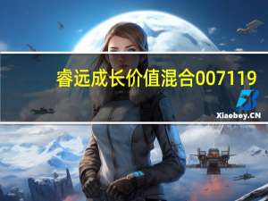 睿远成长价值混合007119（睿远成长价值）