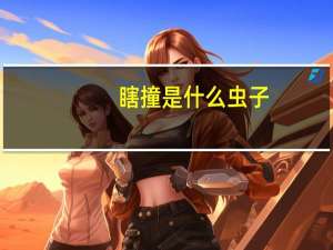 瞎撞是什么虫子