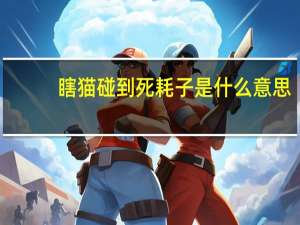 瞎猫碰到死耗子是什么意思