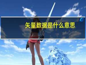 矢量数据是什么意思