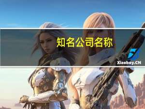 知名公司名称（知名公司）