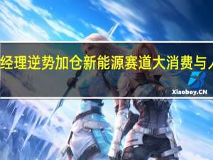 知名基金经理逆势加仓新能源赛道 大消费与人工智能受热捧