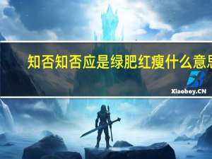 知否知否应是绿肥红瘦什么意思