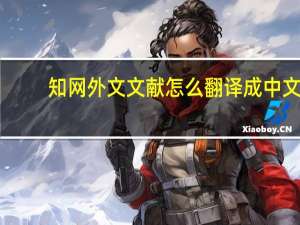 知网外文文献怎么翻译成中文