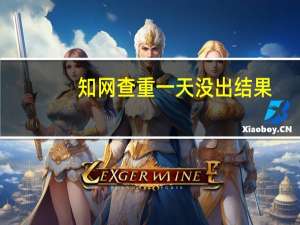 知网查重一天没出结果