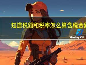 知道税额和税率怎么算含税金额