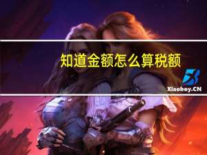 知道金额怎么算税额