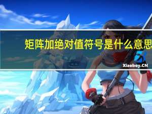 矩阵加绝对值符号是什么意思