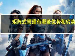 矩阵式管理有哪些优势和劣势
