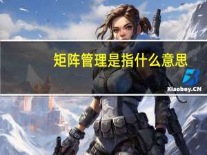 矩阵管理是指什么意思