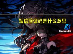 短信验证码是什么意思
