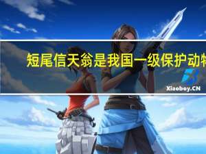 短尾信天翁是我国一级保护动物（短尾信天翁）