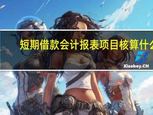 短期借款会计报表项目核算什么（短期借款会计分录）