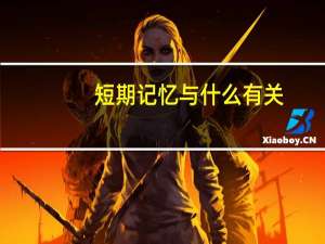 短期记忆与什么有关