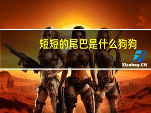 短短的尾巴是什么狗狗