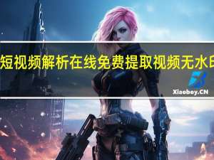 短视频解析在线 免费提取视频无水印解析