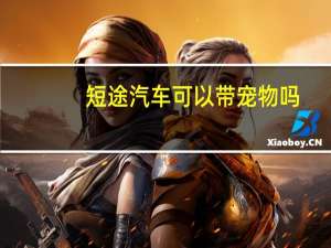 短途汽车可以带宠物吗