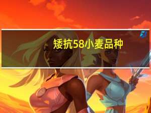 矮抗58小麦品种（矮抗58）