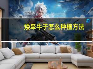 矮牵牛子怎么种植方法