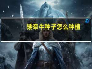 矮牵牛种子怎么种植