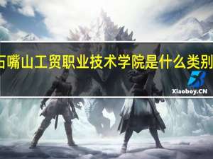石嘴山工贸职业技术学院是什么类别的学校