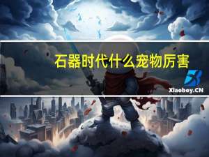 石器时代什么宠物厉害
