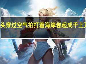 石头穿过空气拍打着海岸卷起成千上万堆的雪