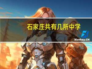 石家庄共有几所中学