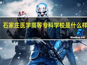 石家庄医学高等专科学校是什么样子的