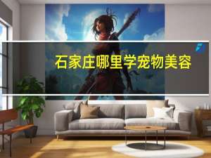 石家庄哪里学宠物美容