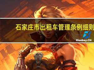 石家庄市出租车管理条例细则（石家庄市出租汽车管理条例简介）