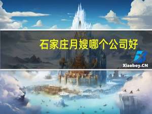 石家庄月嫂哪个公司好