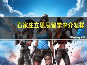 石家庄立思辰留学中介怎样