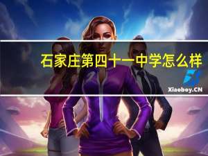 石家庄第四十一中学怎么样