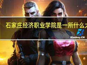 石家庄经济职业学院是一所什么大学