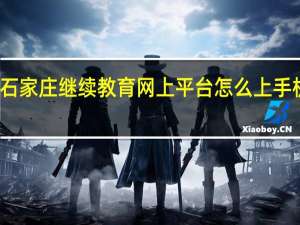 石家庄继续教育网上平台怎么上手机上看（石家庄继续教育网上学习平台）