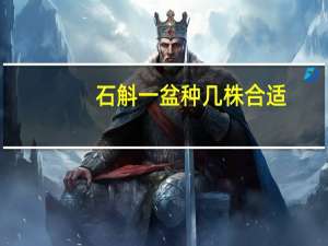 石斛一盆种几株合适