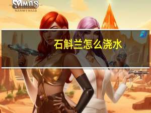 石斛兰怎么浇水