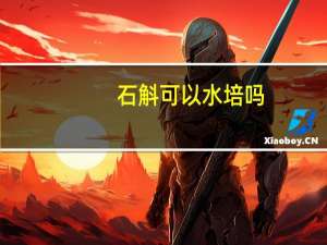 石斛可以水培吗