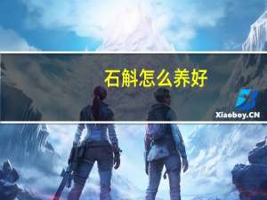 石斛怎么养好