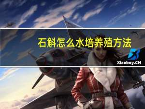 石斛怎么水培养殖方法