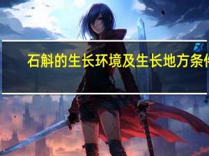 石斛的生长环境及生长地方条件